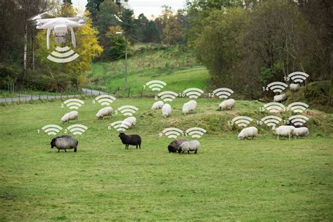 RFID Technology in Agriculture 